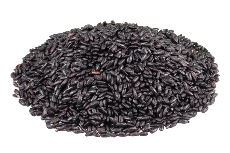 Uncooked black rice grains – Chak-hao, Manipur black rice