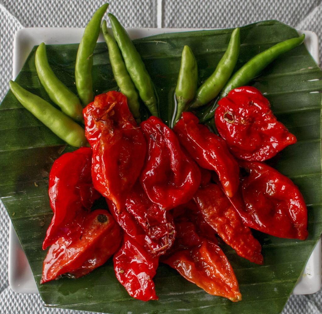 Wrinkled red bhoot jolokia ghost chilli pods on a banana leaf