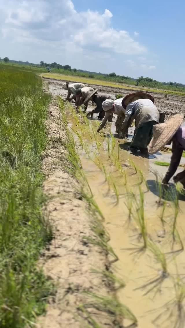 Instagram post from gharsa_project. This post is in position 7.